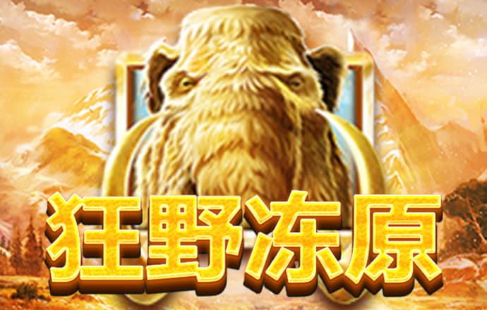 cmd体育综合